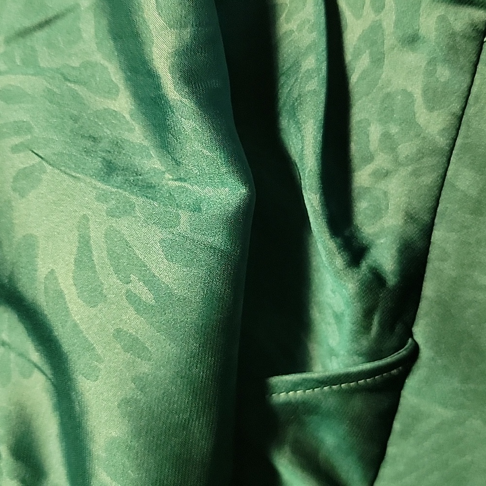 RACHEL ZOE Emerald Green‎ Leopard Jacquard Print V-Neck Party Holiday Blouse XS - Picture 9 of 9
